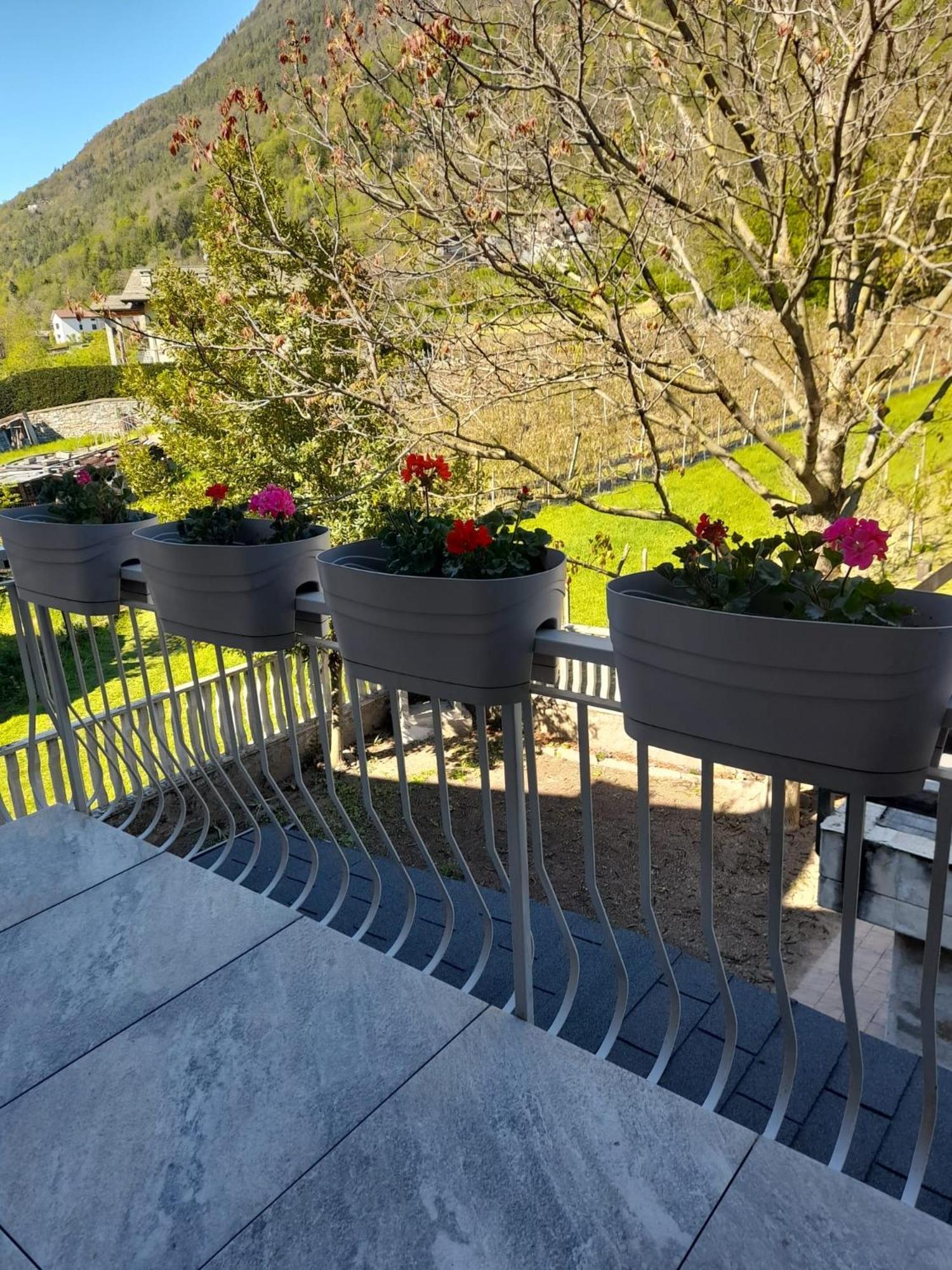 La Casetta Di Campagna Mazzo di Valtellina Екстер'єр фото